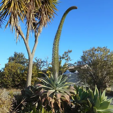 Highview ヴィラ ラゴス